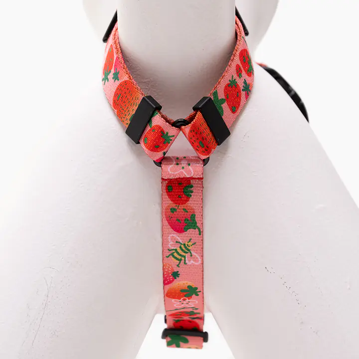 Szelki dla psa lub kota typu guard "Najlepsze ze śmietaną" - Master