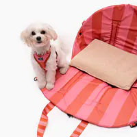 Bag 3in1 "Best with cream" - Master