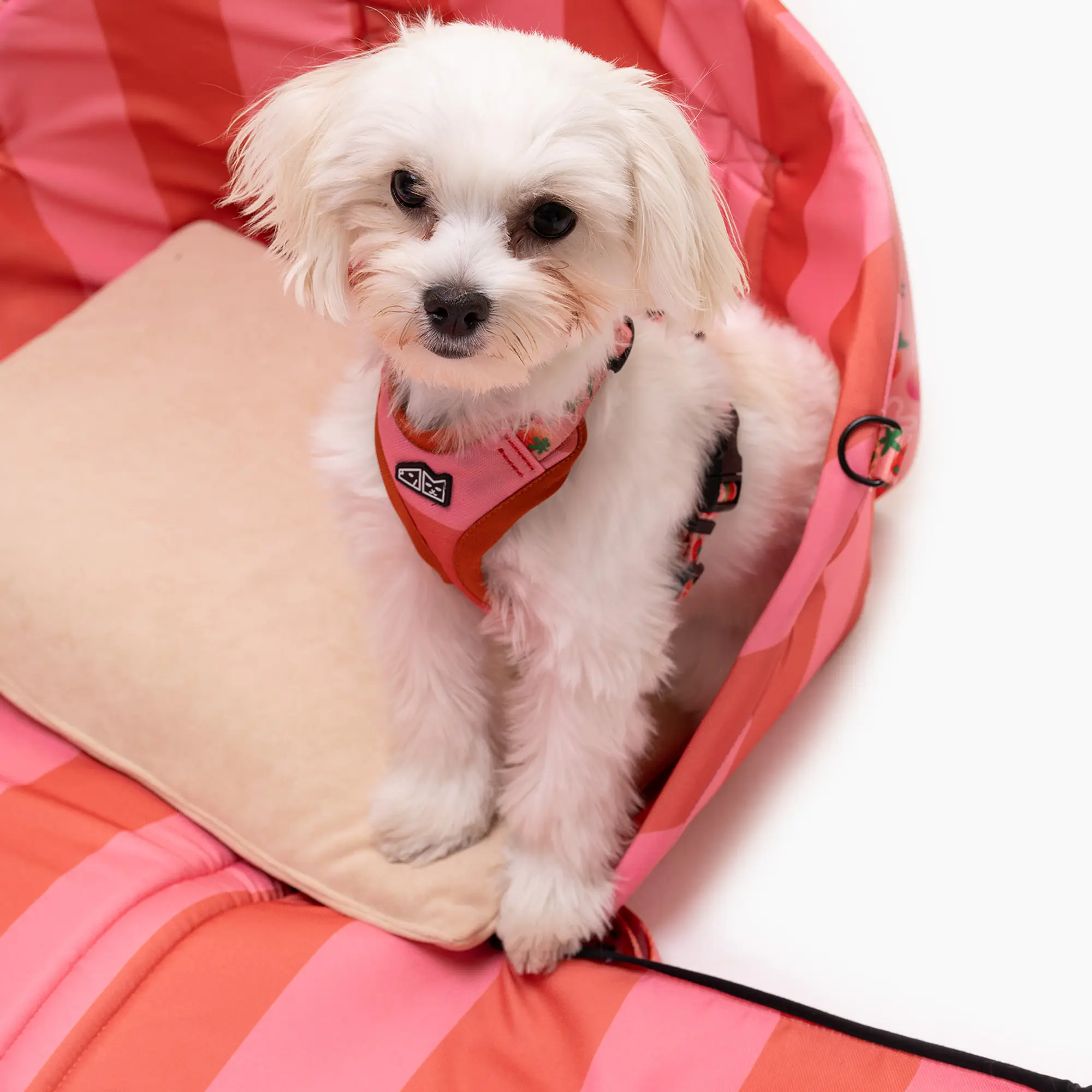 Bag 3in1 "Best with cream" - Master