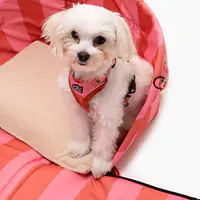 Torba 3w1 dla psa lub kota "Najlepsze ze śmietaną" - Master