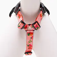 Szelki guard Stay on "Najlepsze ze śmietaną" - Master