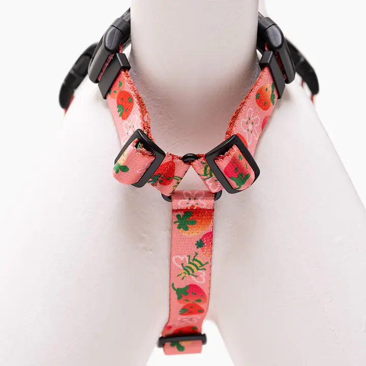 Szelki guard Stay on "Najlepsze ze śmietaną" - Master