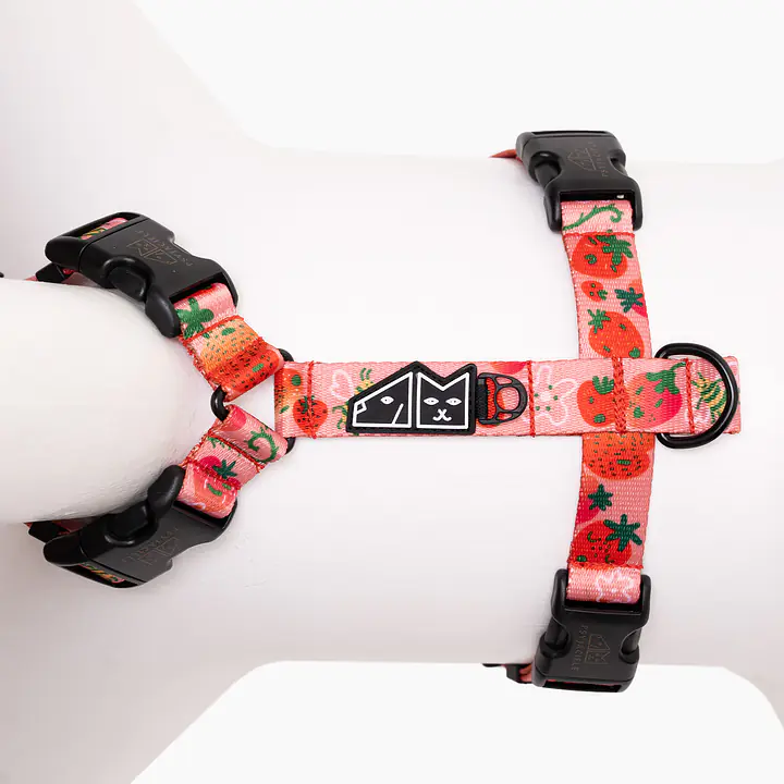 Szelki guard Stay on "Najlepsze ze śmietaną" - Master