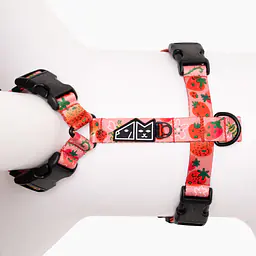 Szelki guard Stay on "Najlepsze ze śmietaną" - Master