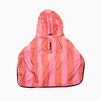 Raincoat for dog "Best with cream" - Master