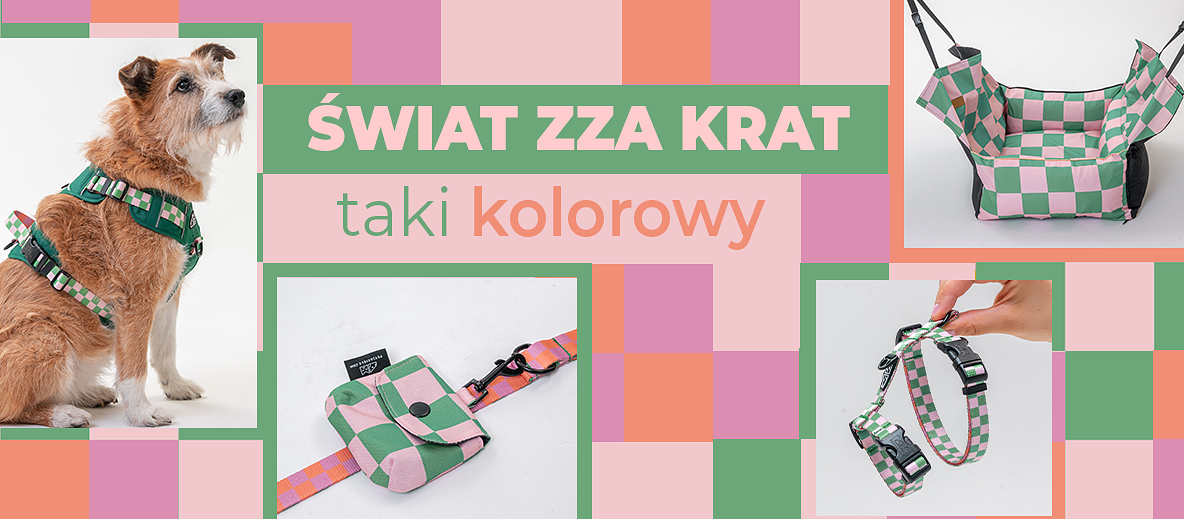Świat zza krat taki kolorowy