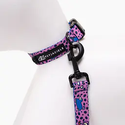 Dog or cat collar "Doggy style" - Master