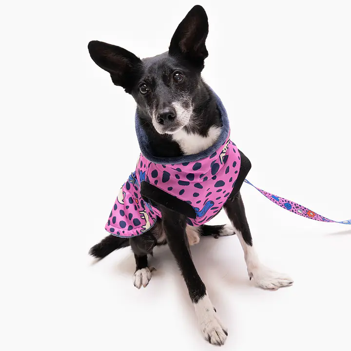 Kurtka dla psa "Doggy style" - Master