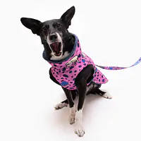 Kurtka dla psa "Doggy style" - Master