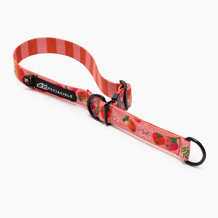 Obroża półzaciskowa dla psa lub kota "Najlepsze ze śmietaną" - Master