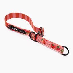 Obroża półzaciskowa dla psa lub kota "Najlepsze ze śmietaną" - Master