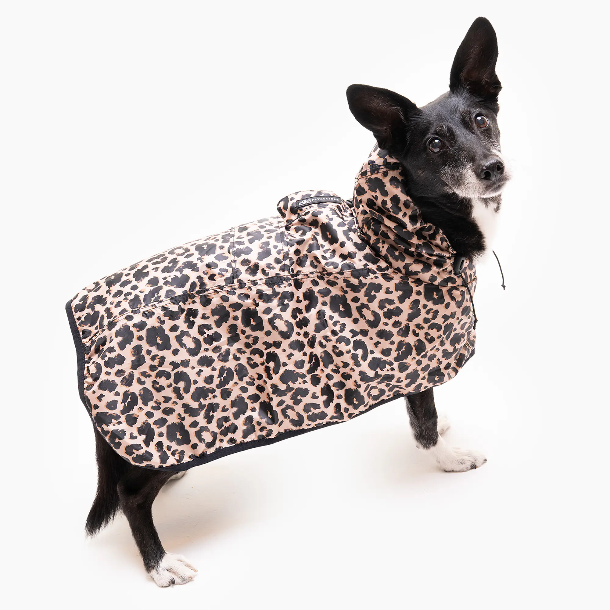 Raincoat for dog "Leopard" - Master