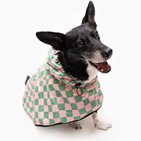 Raincoat for dog "Check Mate" - Master