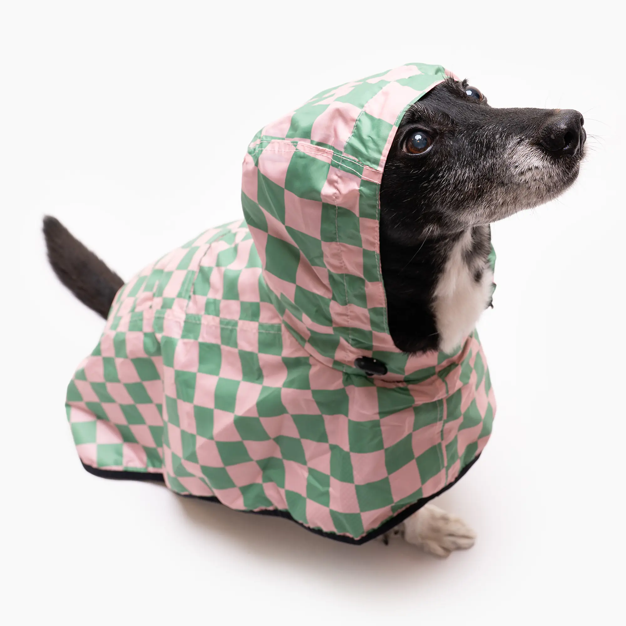 Raincoat for dog "Check Mate" - Master