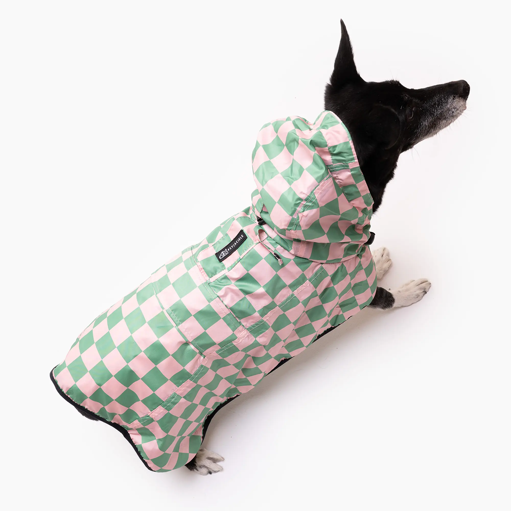 Raincoat for dog "Check Mate" - Master