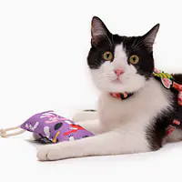 Kopacz dla kota "Łot de Fok"  - Master