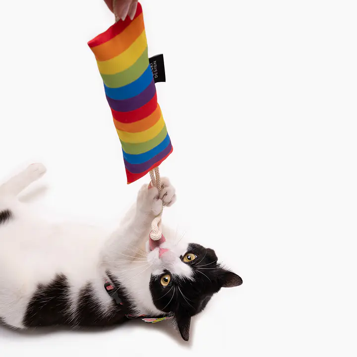 Kicker toy "Love, equality, teethers" - Master