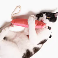 Kicker toy "IBest with cream" - Master