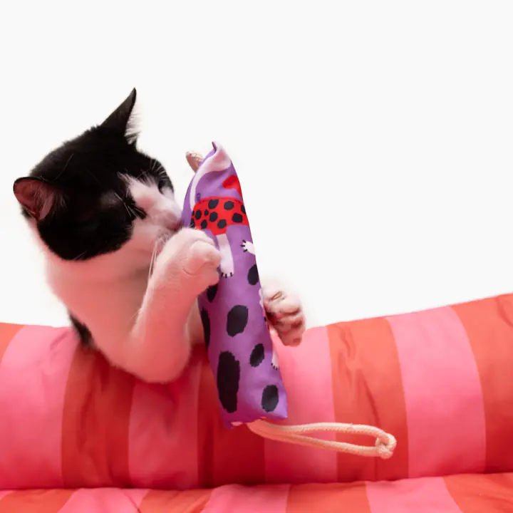 Kicker toy "Doggosaurus" - Master