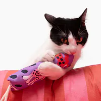 Kicker toy "We went bananas" - Master