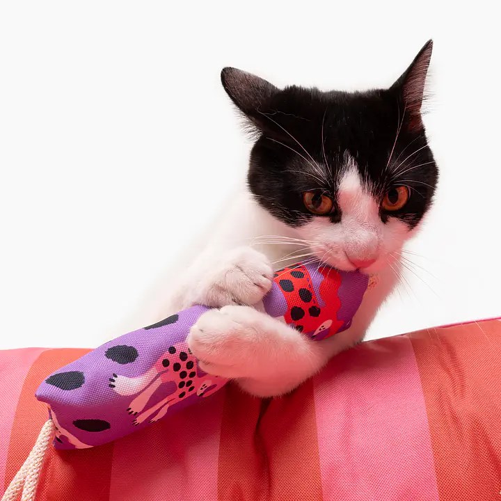 Kicker toy "We went bananas" - Master