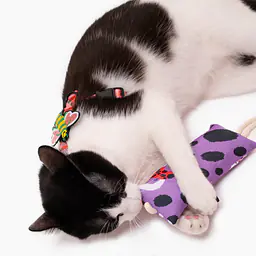 Kopacz dla kota "Pieski Floreski"  - Master