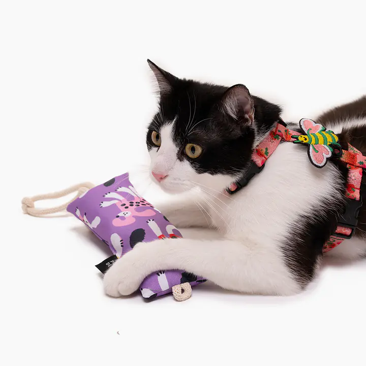 Kopacz dla kota "Psikolaż"  - Master