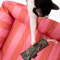 Kicker toy "Play with my nuts" - Master