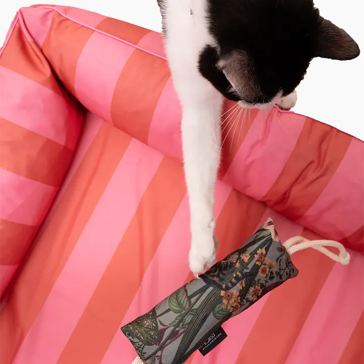 Kopacz dla kota "Wie wiórka co dobre"  - Master