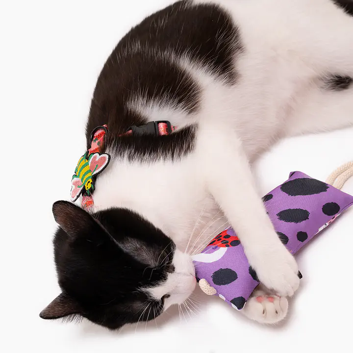 Kicker toy "Play with my nuts" - Master