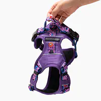 Szelki Adventure "Doggy style" - Master