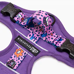 Szelki Adventure "Doggy style" - Master