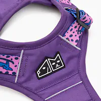 Szelki Adventure "Doggy style" - Master