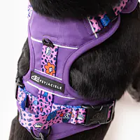 Szelki Adventure "Doggy style" - Master