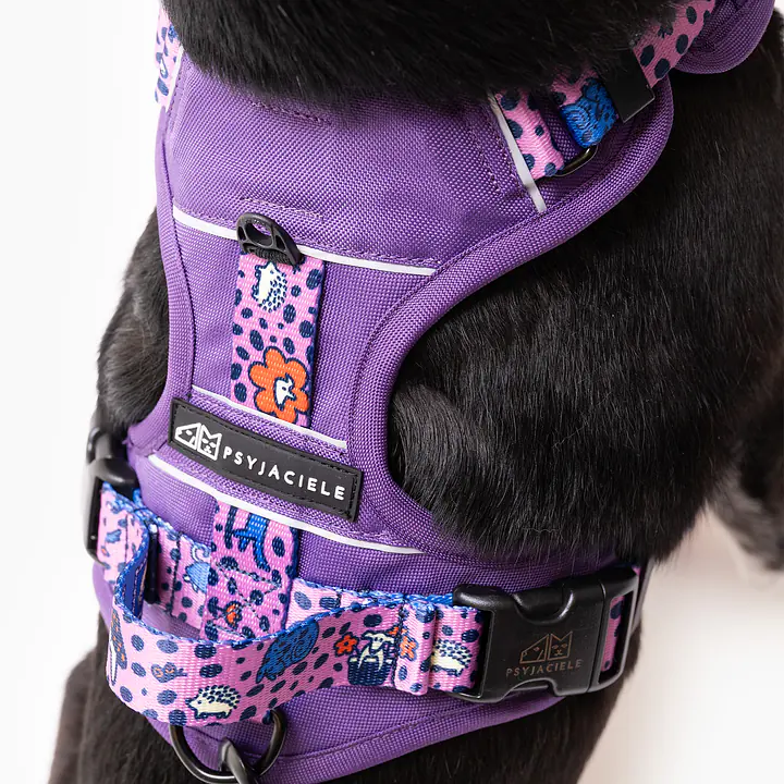 Szelki Adventure "Doggy style" - Master