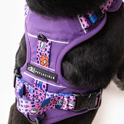 Szelki Adventure "Doggy style" - Master