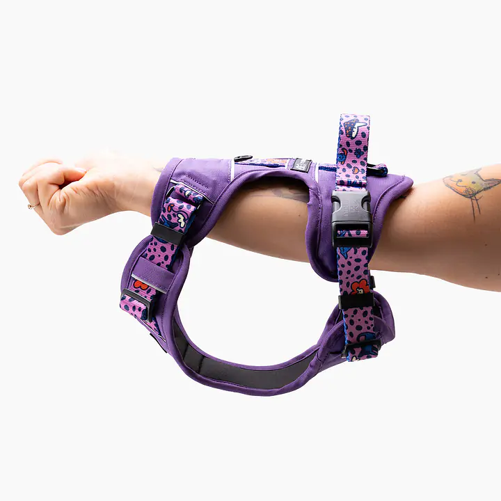 Szelki Adventure "Doggy style" - Master