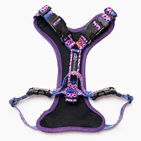 Szelki bezuciskowe Stay on "Doggy style" - Master