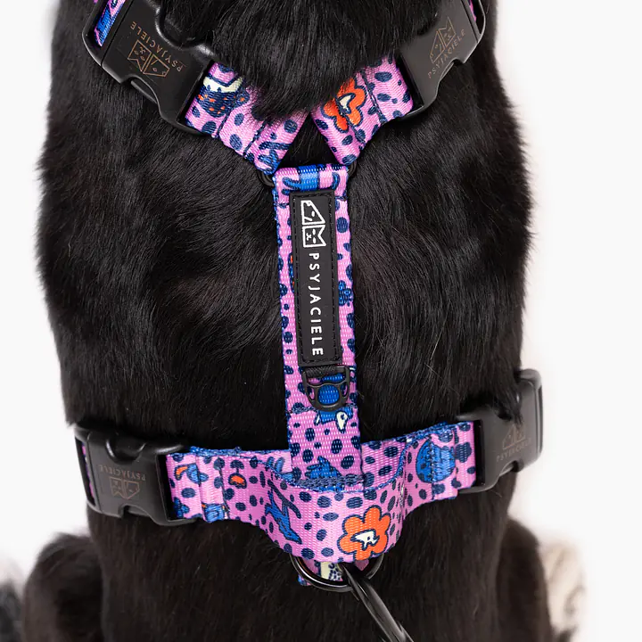 Szelki bezuciskowe Stay on "Doggy style" - Master