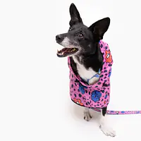 Płaszcz przeciwdeszczowy dla psa "Doggy style" - Master