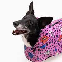 Raincoat for dog "Leopard" - Master