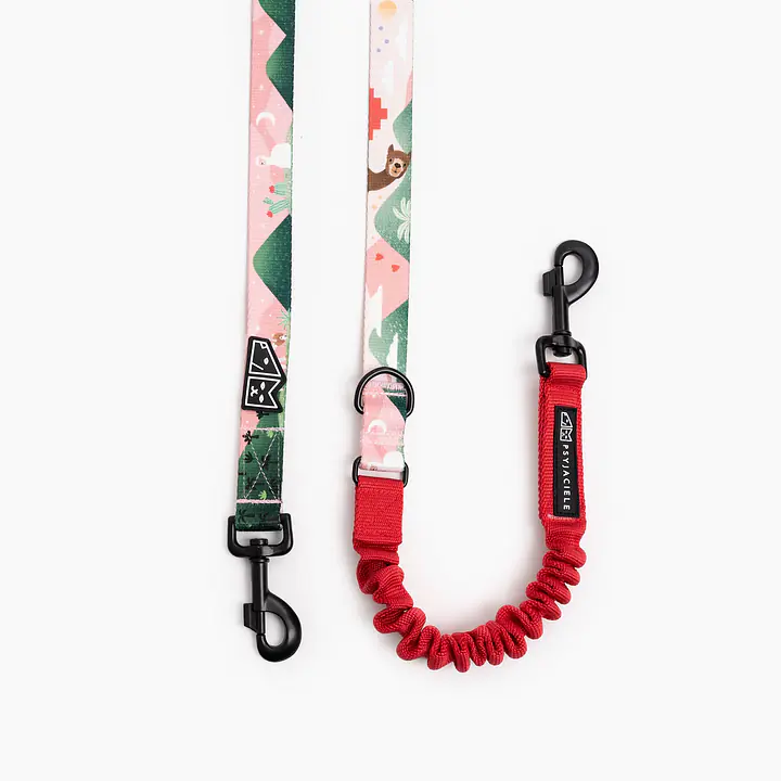 Adjustable leash with shock absorber "No drama lama" - Master