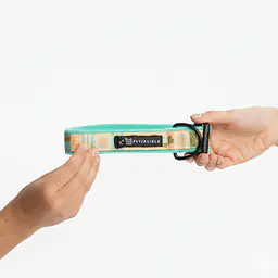 Obroża z klamrą SUPER SOFT "Piesss" - Master