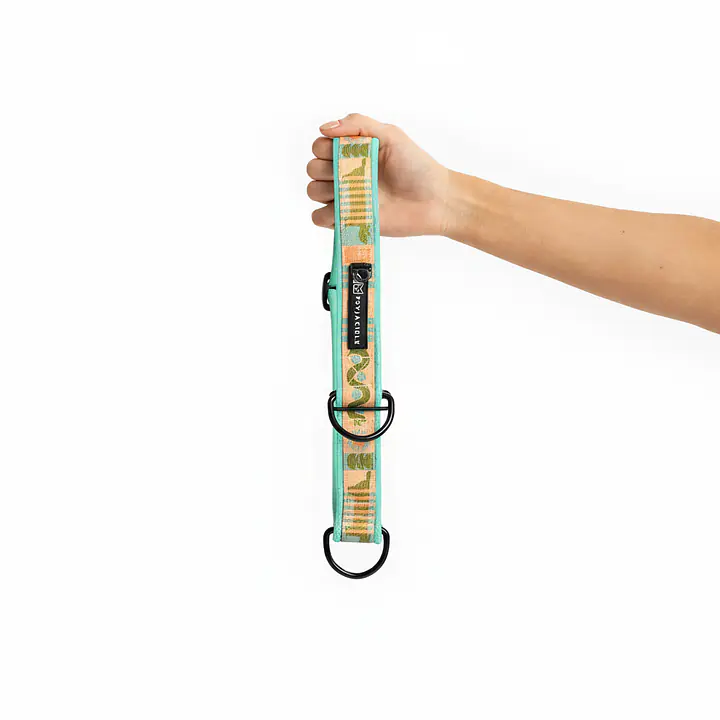 Half-clamp SUPER SOFT collar "Sausage dog" - Master