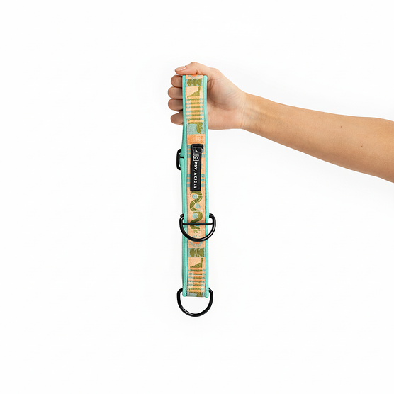 Half-clamp SUPER SOFT collar "Sausage dog"