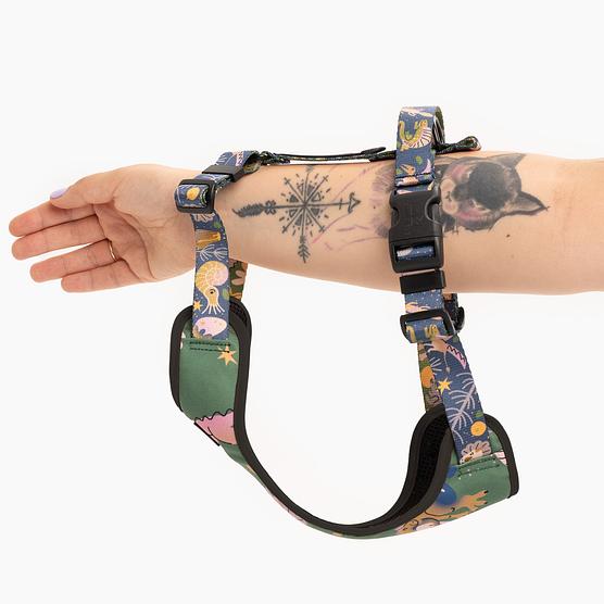 Stay-on pressure-free harness "Doggosaurus"