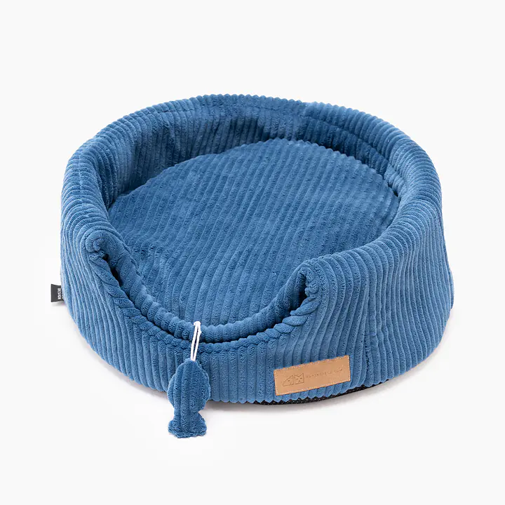 Domek 2w1 "Scooby Blue" - Master