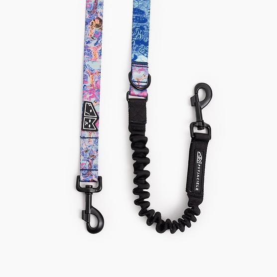 "Psychofan" leash with a shock absorber