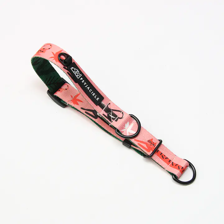 WYPRZEDAŻ Obroża półzaciskowa dla psa lub kota "PanTera przyszedł do jungli" - Master