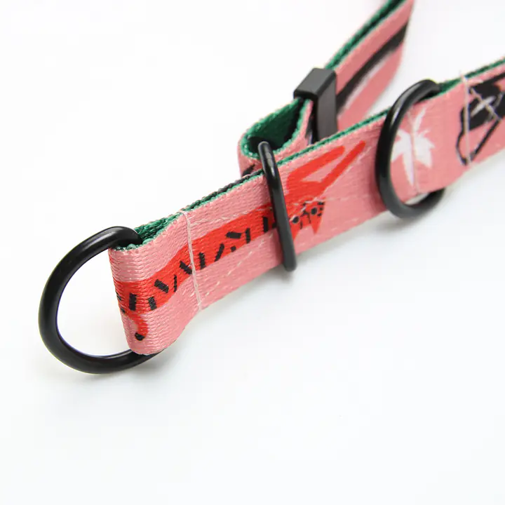 WYPRZEDAŻ Obroża półzaciskowa dla psa lub kota "PanTera przyszedł do jungli" - Master